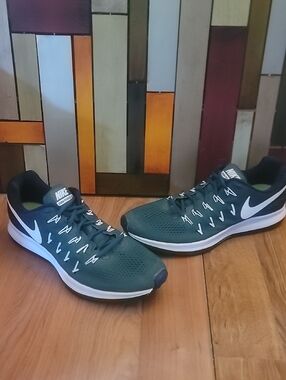 Nike Pegasus 33 Mens 13
